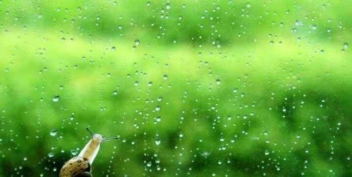 恼人的雨（一场无法忘记的经历）-第2张图片-学作网
