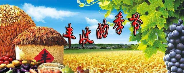 秋韵悠悠（金秋收获，红叶赏枫，中秋团圆）-第3张图片-学作网