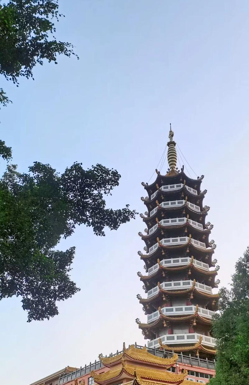 充实的生活（平凡人的不平凡之路）-第2张图片-学作网