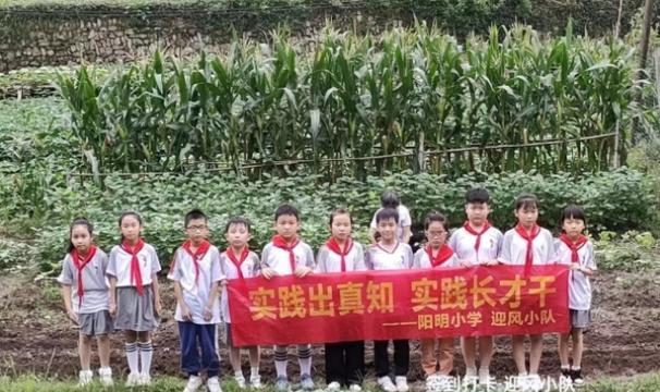 劳动的果实，欢乐的源泉（一个有关劳动与欢乐的小故事）-第2张图片-学作网