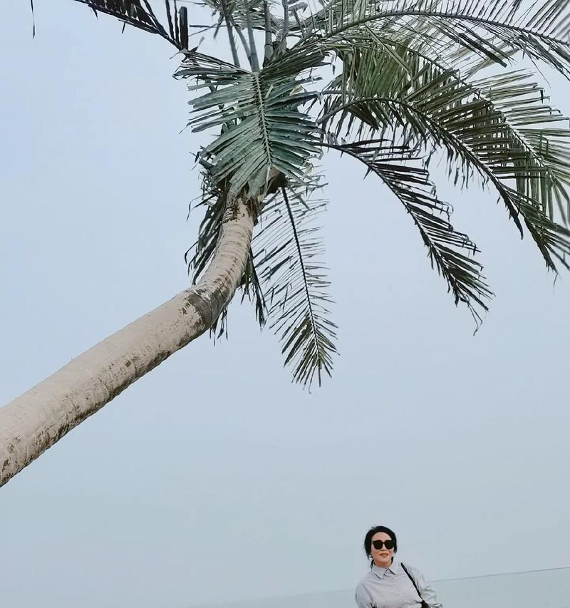 淡淡的浅笑（笑容背后的故事）-第2张图片-学作网