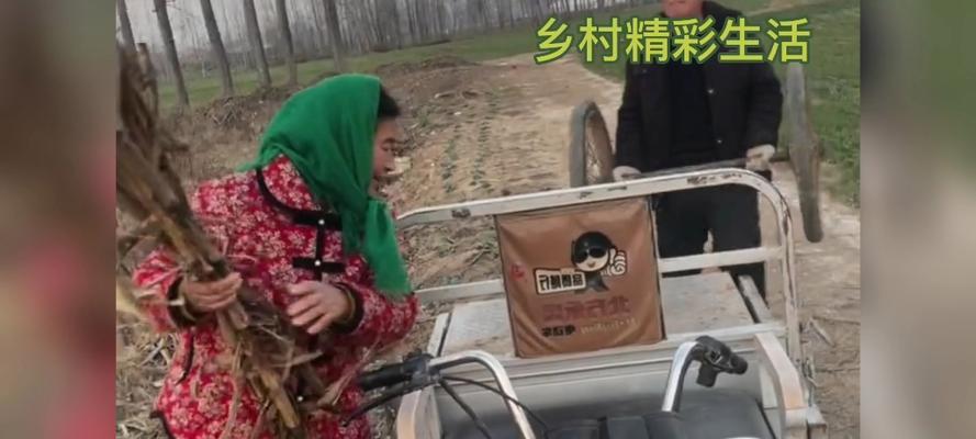 探访老奶奶的菜园（探访老奶奶的菜园）-第3张图片-学作网