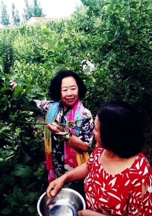青春如梦（爱情、友情、理想）-第2张图片-学作网