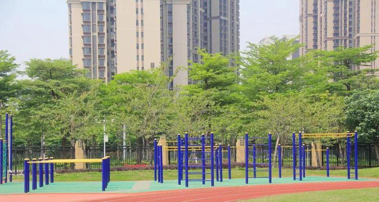新校园的梦想（一个少年的成长之路）-第3张图片-学作网