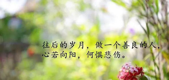 绝处逢生——一个人学会坚强（战胜自我，赢得未来）-第1张图片-学作网