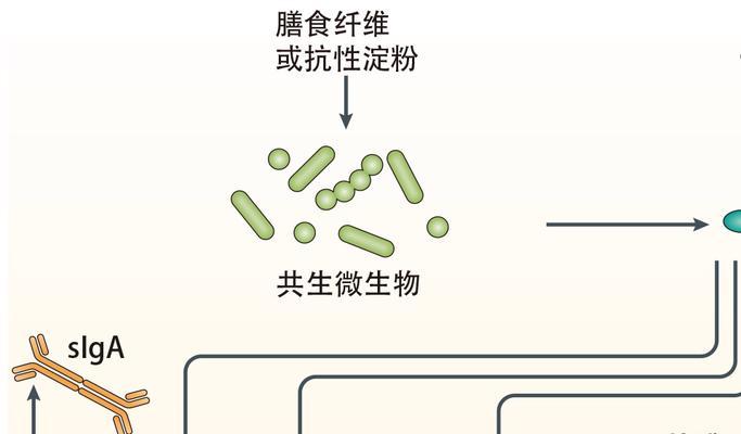 热心肠（班级大家庭中的爱心故事）-第1张图片-学作网