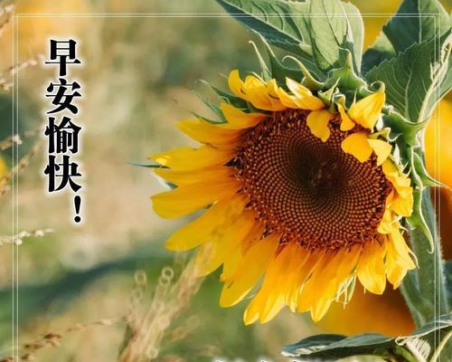 学会付出，方能收获——小鱼儿的故事（只有经历了磨难和奋斗，才能赢得真正的成功）-第2张图片-学作网