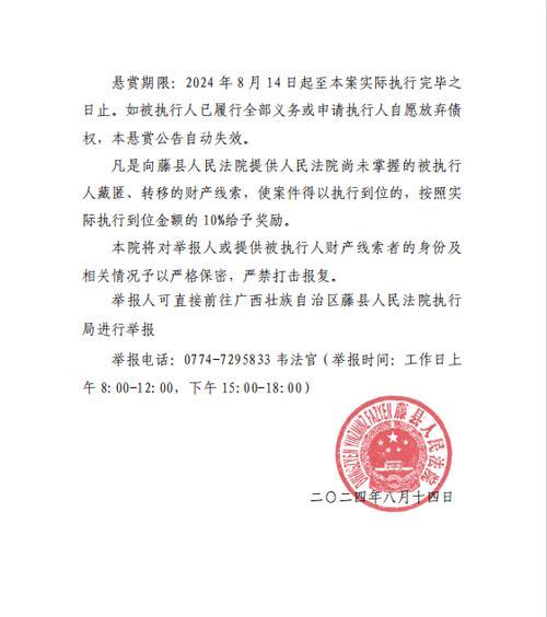 突破重围（那条重要线索）-第1张图片-学作网