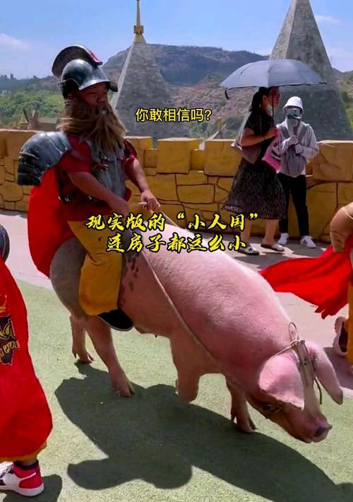 共同的梦想——一个朝夕相处的故事（两个年轻人在支持下实现自己的梦想）-第2张图片-学作网