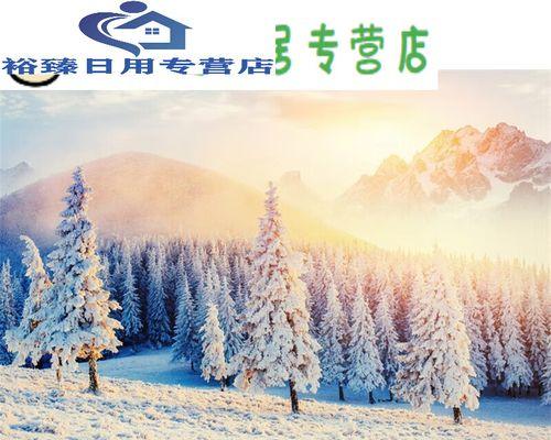 冬日里的雪（梦境与现实）-第1张图片-学作网