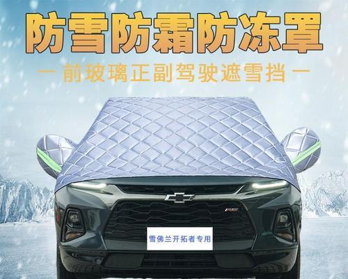 冬日里的雪（梦境与现实）-第2张图片-学作网