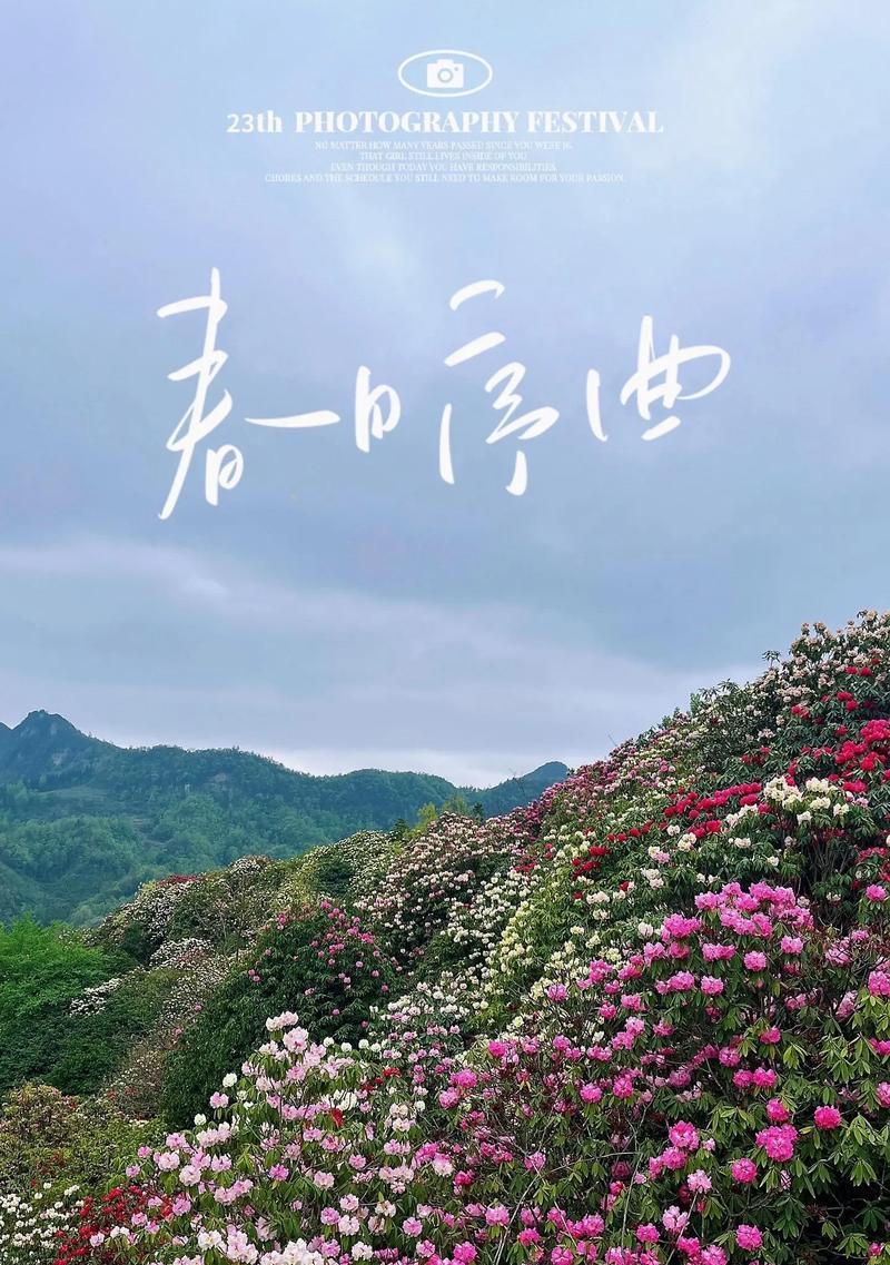 我真高兴！——一个热爱生活的人的故事（不必太多太大，只要小小的高兴）-第3张图片-学作网