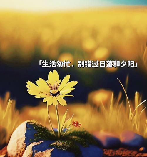 追梦记（打破束缚，追逐梦想）-第2张图片-学作网