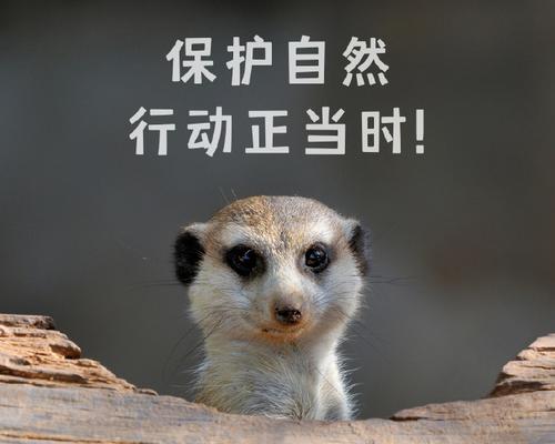 与自然共生（人类的成长与自然的关系）-第1张图片-学作网