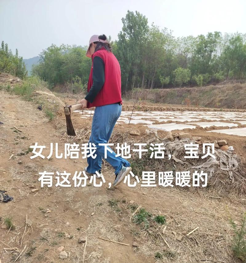 无穷喜悦——小菲的舞台之梦（一场舞蹈比赛，一份珍贵回忆）-第1张图片-学作网