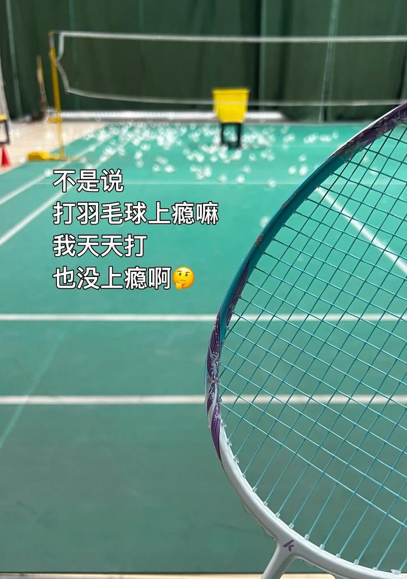 打羽毛球的快乐生活（魅力羽毛球场、锻炼身体、团结友爱）-第3张图片-学作网