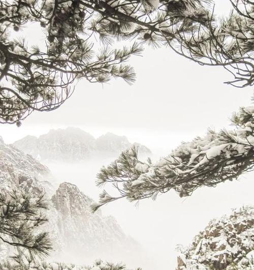 黄山之旅（遇见你）-第3张图片-学作网