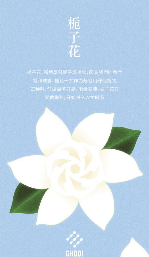 秋日的收获——一个人的成功故事（从迷茫到明确，从失败到成功）-第2张图片-学作网