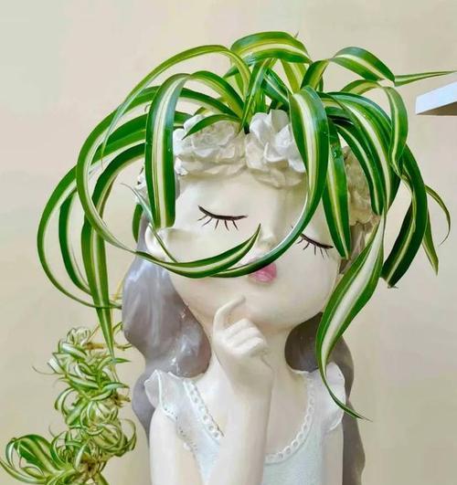 冬天使者的传说（勇敢又纯洁的小天使们）-第2张图片-学作网