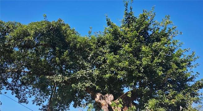 独特风景之旅：探索未知的神秘之地-第2张图片-学作网