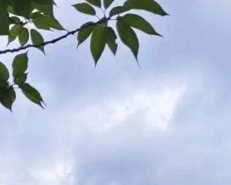青春岁月里的同学情（以他为中心，我们的故事从此开始）-第2张图片-学作网
