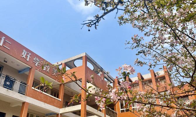 寻找醉人的校园风景（一段时间隧途中的遇见）-第2张图片-学作网