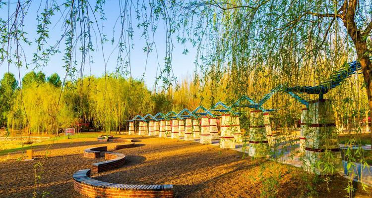 寻找醉人的校园风景（一段时间隧途中的遇见）-第3张图片-学作网