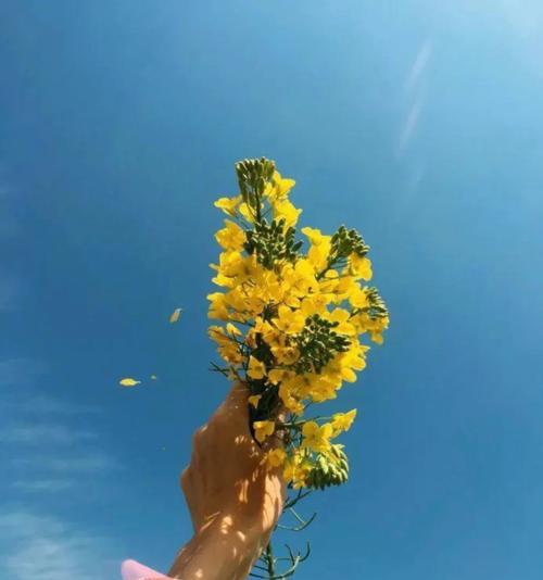 努力才是人生的态度（年轻人用坚韧的毅力走上成功之路）-第3张图片-学作网