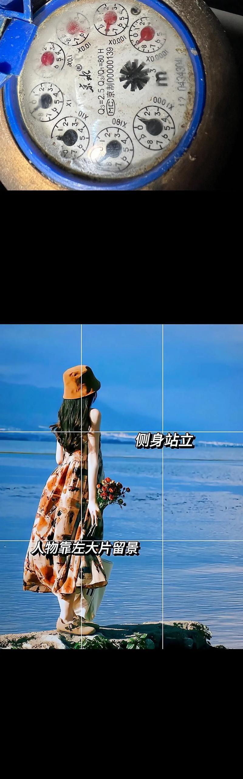 我为自然歌唱——探访自然的美妙之声-第2张图片-学作网