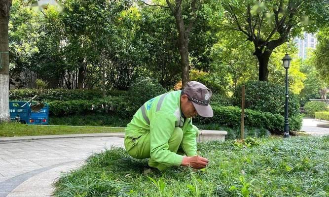 勤劳的身影（坚毅不屈，奋斗终成正果）-第3张图片-学作网