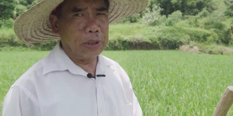 静待岁月荏苒，足迹却犹在（静待岁月荏苒，足迹却犹在）-第3张图片-学作网