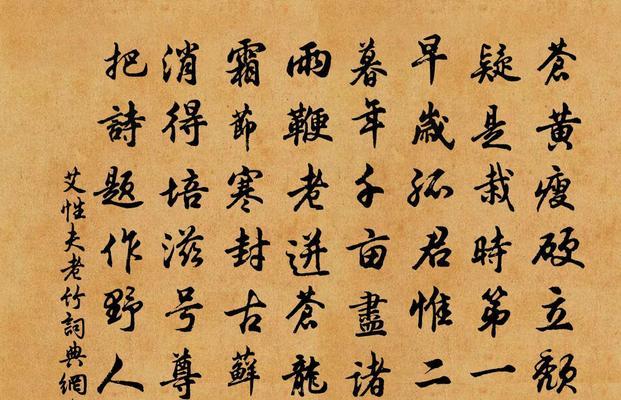 竹韵悠长——一段关于竹子的故事-第1张图片-学作网