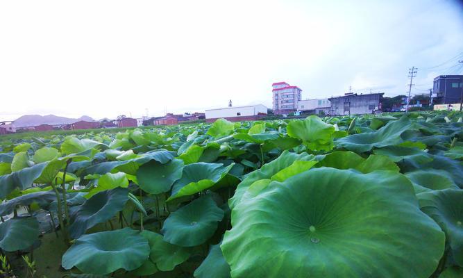 闪烁着光芒的美好（一束光芒，一段故事）-第2张图片-学作网