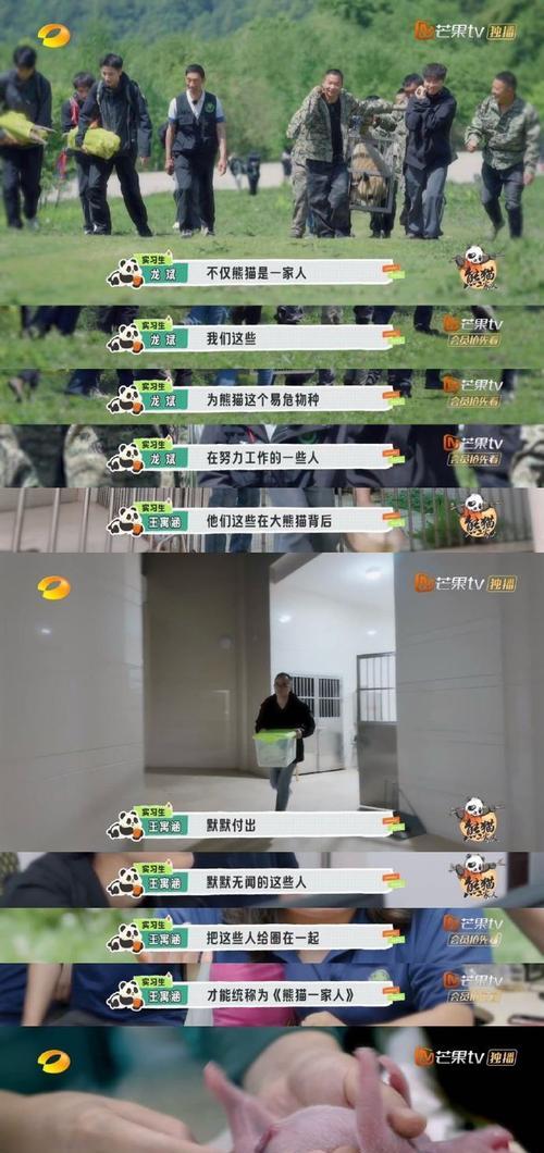 心灵温暖的故事（以真情为灯照亮心田）-第2张图片-学作网