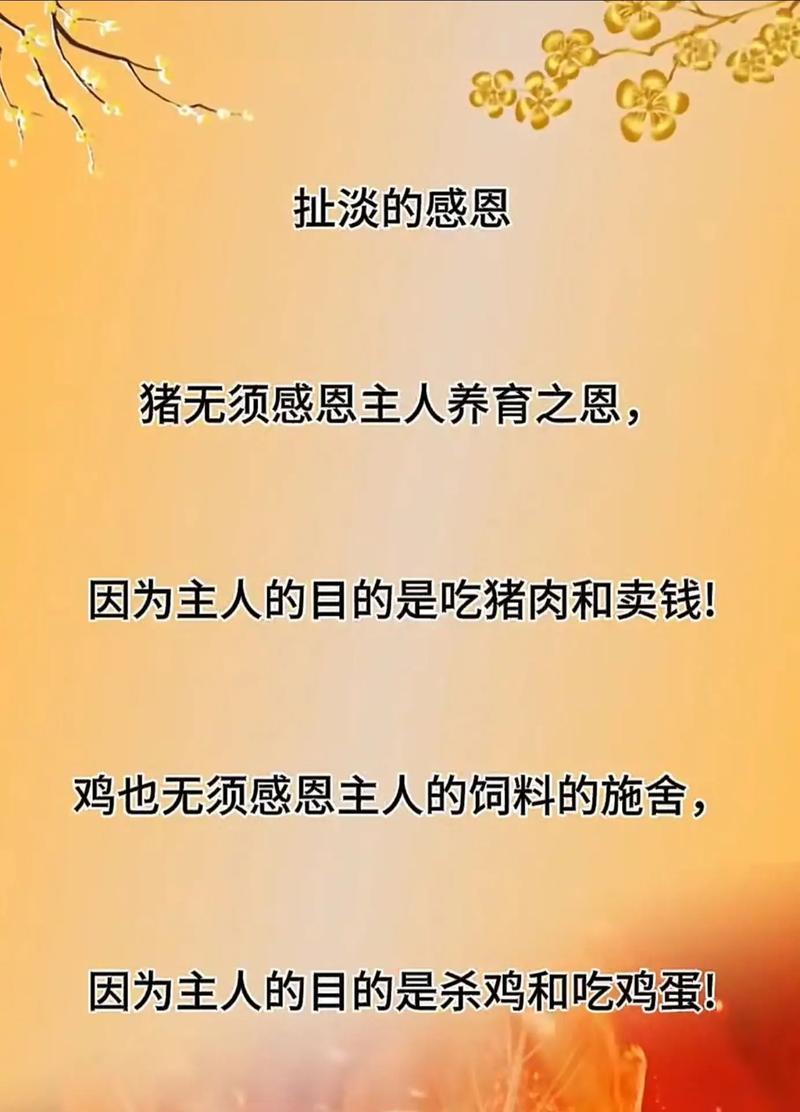 感恩是一种美，让我们学会感恩（感恩是一种美，让我们学会感恩）-第3张图片-学作网