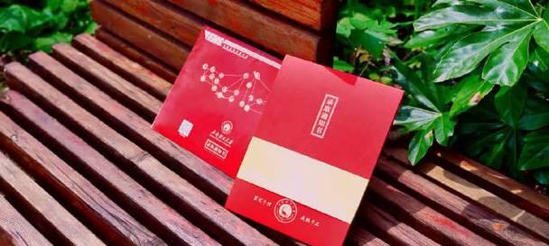 理想照进现实的故事（从奋斗到成功的漫长过程）-第2张图片-学作网