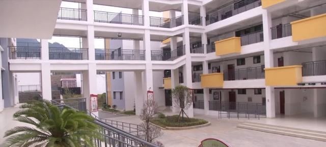 我的新校园-第1张图片-学作网