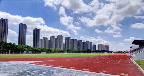 我的新校园-第2张图片-学作网