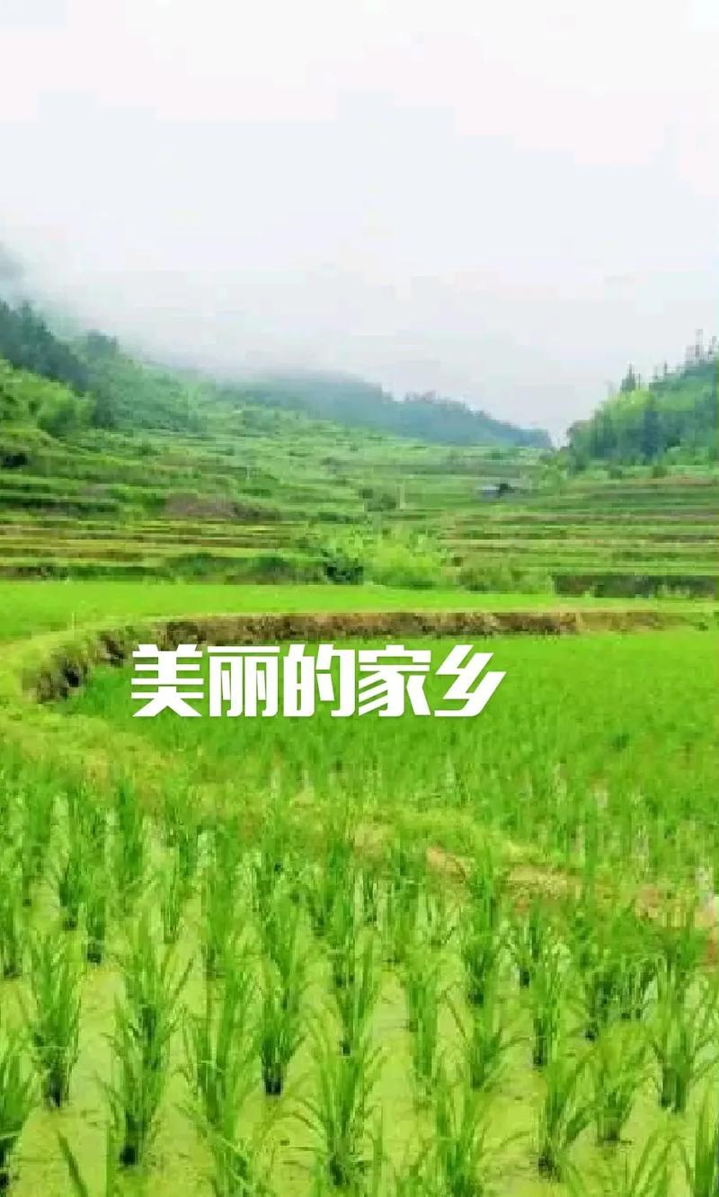 美丽的家乡-第2张图片-学作网