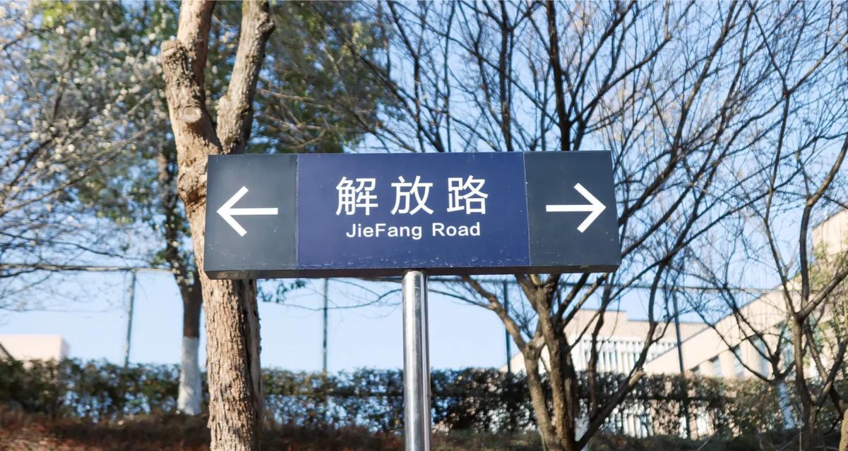 我的期待之春——等待新生的希望-第1张图片-学作网