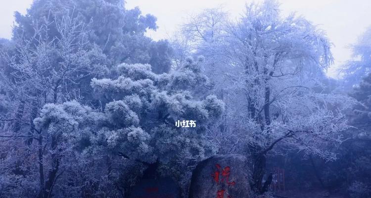 这个冬天真美（一场意外的相遇）-第1张图片-学作网