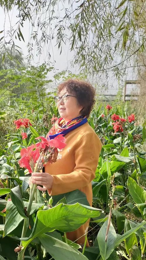 百鸟争鸣，花香弥漫的夏日（一个小女孩的冒险之旅）-第1张图片-学作网