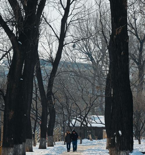 那个珍贵的瞬间（一个普通人物的成长之旅）-第2张图片-学作网