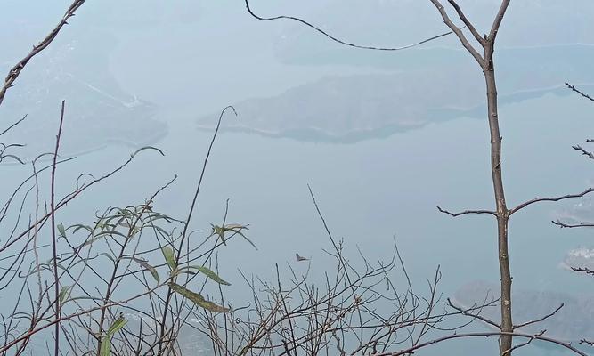 大自然给我们带来的美好（友情、爱情、美丽的自然景色）-第1张图片-学作网