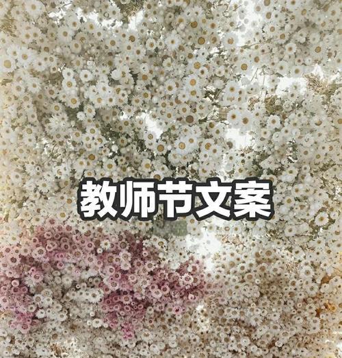敬爱的力量（一名老师的心路历程）-第3张图片-学作网
