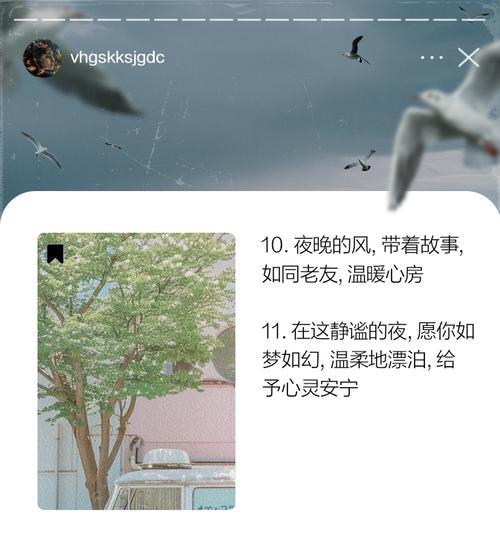 灯塔下的温暖（在海边度过一个难忘的夏天）-第1张图片-学作网
