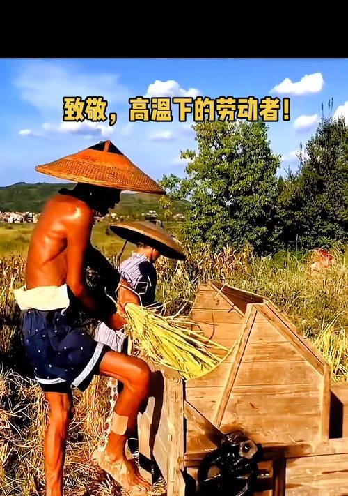 那些辛苦和快乐（一个年轻女孩的劳动故事）-第3张图片-学作网