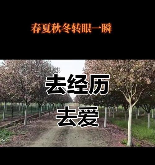 别让青春留遗憾——一个奋斗者的故事（爱与努力不会输，勇敢去追逐自己的梦想）-第2张图片-学作网