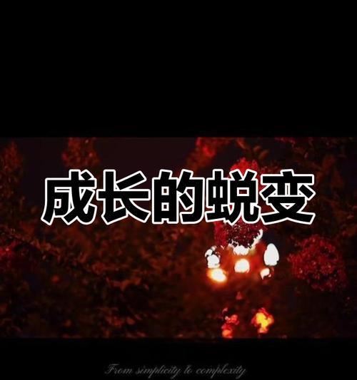 坚韧与理智的力量（一个小女孩的成长故事）-第3张图片-学作网