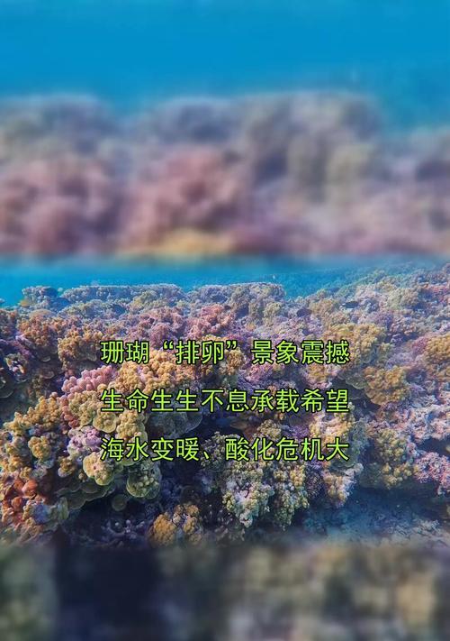 寻找幸福（以幸福生生不息，源远流长）-第3张图片-学作网